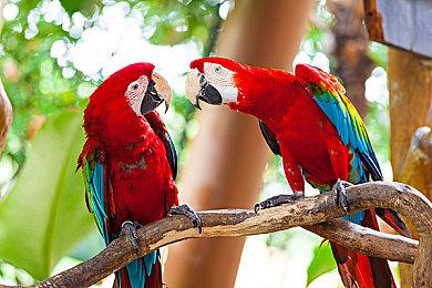 《龙腾世纪：影障守护者》部分情节早已在初代时有所规划